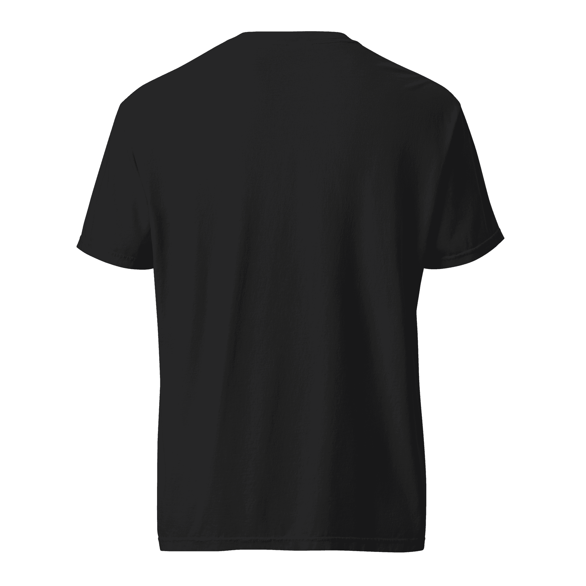 Heavyweight Tee in black, full Trade Echo logo, back view