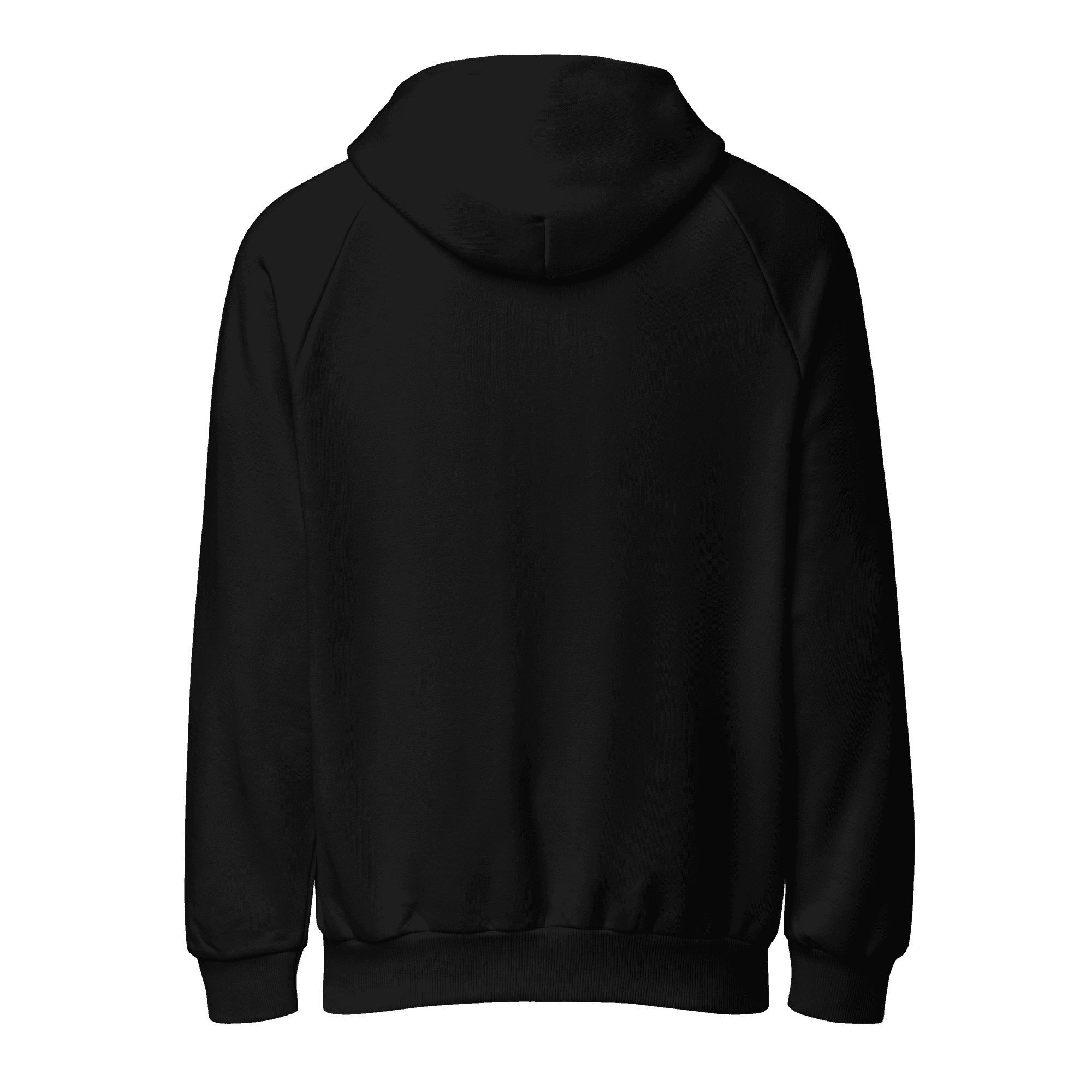 Premium Heavyweight Hoodie in black, full Trade Echo logo, back view