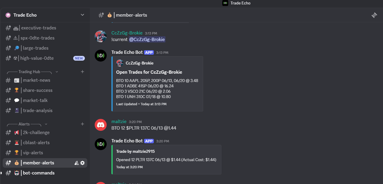 How to Post Trade Alerts in Discord with Trade Echo